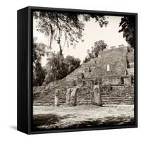 ¡Viva Mexico! Square Collection - Ruins of the ancient Mayan City of Calakmul-Philippe Hugonnard-Framed Stretched Canvas