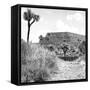 ¡Viva Mexico! Square Collection - Ruins of the City of Cantona-Philippe Hugonnard-Framed Stretched Canvas