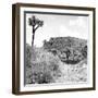 ¡Viva Mexico! Square Collection - Ruins of the City of Cantona-Philippe Hugonnard-Framed Photographic Print