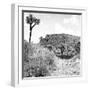 ¡Viva Mexico! Square Collection - Ruins of the City of Cantona-Philippe Hugonnard-Framed Photographic Print