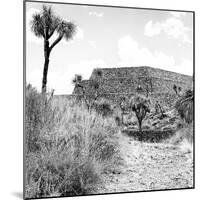 ¡Viva Mexico! Square Collection - Ruins of the City of Cantona-Philippe Hugonnard-Mounted Photographic Print