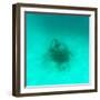 ¡Viva Mexico! Square Collection - Sculptures at bottom of sea in Cancun II-Philippe Hugonnard-Framed Photographic Print