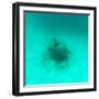 ¡Viva Mexico! Square Collection - Sculptures at bottom of sea in Cancun II-Philippe Hugonnard-Framed Photographic Print