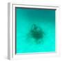 ¡Viva Mexico! Square Collection - Sculptures at bottom of sea in Cancun II-Philippe Hugonnard-Framed Photographic Print