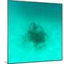 ¡Viva Mexico! Square Collection - Sculptures at bottom of sea in Cancun II-Philippe Hugonnard-Mounted Photographic Print