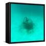 ¡Viva Mexico! Square Collection - Sculptures at bottom of sea in Cancun II-Philippe Hugonnard-Framed Stretched Canvas