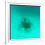 ¡Viva Mexico! Square Collection - Sculptures at bottom of sea in Cancun II-Philippe Hugonnard-Framed Photographic Print