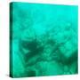 ¡Viva Mexico! Square Collection - Sculptures at bottom of sea in Cancun III-Philippe Hugonnard-Stretched Canvas