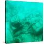 ¡Viva Mexico! Square Collection - Sculptures at bottom of sea in Cancun III-Philippe Hugonnard-Stretched Canvas