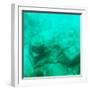 ¡Viva Mexico! Square Collection - Sculptures at bottom of sea in Cancun III-Philippe Hugonnard-Framed Photographic Print