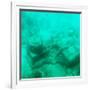 ¡Viva Mexico! Square Collection - Sculptures at bottom of sea in Cancun III-Philippe Hugonnard-Framed Photographic Print