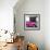 ¡Viva Mexico! Square Collection - Small Deep Pink VW Beetle Car-Philippe Hugonnard-Framed Photographic Print displayed on a wall