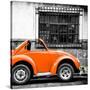 ¡Viva Mexico! Square Collection - Small Orange VW Beetle Car-Philippe Hugonnard-Stretched Canvas