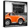 ¡Viva Mexico! Square Collection - Small Orange VW Beetle Car-Philippe Hugonnard-Framed Stretched Canvas