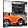 ¡Viva Mexico! Square Collection - Small Orange VW Beetle Car-Philippe Hugonnard-Stretched Canvas