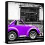 ¡Viva Mexico! Square Collection - Small Purple VW Beetle Car-Philippe Hugonnard-Framed Stretched Canvas