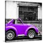 ¡Viva Mexico! Square Collection - Small Purple VW Beetle Car-Philippe Hugonnard-Stretched Canvas