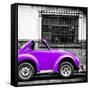 ¡Viva Mexico! Square Collection - Small Purple VW Beetle Car-Philippe Hugonnard-Framed Stretched Canvas