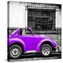 ¡Viva Mexico! Square Collection - Small Purple VW Beetle Car-Philippe Hugonnard-Stretched Canvas