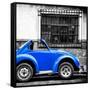 ¡Viva Mexico! Square Collection - Small Royal Blue VW Beetle Car-Philippe Hugonnard-Framed Stretched Canvas