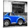 ¡Viva Mexico! Square Collection - Small Royal Blue VW Beetle Car-Philippe Hugonnard-Stretched Canvas