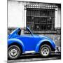 ¡Viva Mexico! Square Collection - Small Royal Blue VW Beetle Car-Philippe Hugonnard-Mounted Photographic Print