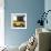 ¡Viva Mexico! Square Collection - Small Yellow VW Beetle Car-Philippe Hugonnard-Framed Photographic Print displayed on a wall