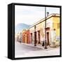 ¡Viva Mexico! Square Collection - Street Scene Oaxaca II-Philippe Hugonnard-Framed Stretched Canvas