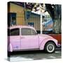 ¡Viva Mexico! Square Collection - "Summer" VW Beetle Car V-Philippe Hugonnard-Stretched Canvas