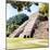 ¡Viva Mexico! Square Collection - Temple of Inscriptions in Palenque VII-Philippe Hugonnard-Mounted Photographic Print