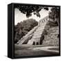 ¡Viva Mexico! Square Collection - Temple of Inscriptions in Palenque VIII-Philippe Hugonnard-Framed Stretched Canvas