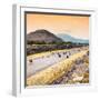 ¡Viva Mexico! Square Collection - Teotihuacan Pyramids at Sunset-Philippe Hugonnard-Framed Photographic Print