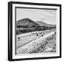 ¡Viva Mexico! Square Collection - Teotihuacan Pyramids B&W-Philippe Hugonnard-Framed Photographic Print