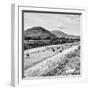 ¡Viva Mexico! Square Collection - Teotihuacan Pyramids B&W-Philippe Hugonnard-Framed Photographic Print