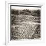 ¡Viva Mexico! Square Collection - Teotihuacan Pyramids Ruins-Philippe Hugonnard-Framed Photographic Print