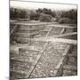 ¡Viva Mexico! Square Collection - Teotihuacan Pyramids Ruins-Philippe Hugonnard-Mounted Photographic Print