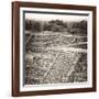¡Viva Mexico! Square Collection - Teotihuacan Pyramids Ruins-Philippe Hugonnard-Framed Photographic Print