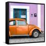 ¡Viva Mexico! Square Collection - The Orange VW Beetle Car with Thistle Street Wall-Philippe Hugonnard-Framed Stretched Canvas