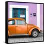 ¡Viva Mexico! Square Collection - The Orange VW Beetle Car with Thistle Street Wall-Philippe Hugonnard-Framed Stretched Canvas