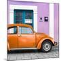 ¡Viva Mexico! Square Collection - The Orange VW Beetle Car with Thistle Street Wall-Philippe Hugonnard-Mounted Photographic Print