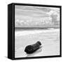 ¡Viva Mexico! Square Collection - Tree Trunk on a Caribbean Beach II-Philippe Hugonnard-Framed Stretched Canvas