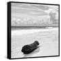 ¡Viva Mexico! Square Collection - Tree Trunk on a Caribbean Beach II-Philippe Hugonnard-Framed Stretched Canvas