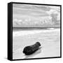 ¡Viva Mexico! Square Collection - Tree Trunk on a Caribbean Beach II-Philippe Hugonnard-Framed Stretched Canvas