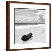 ¡Viva Mexico! Square Collection - Tree Trunk on a Caribbean Beach II-Philippe Hugonnard-Framed Photographic Print