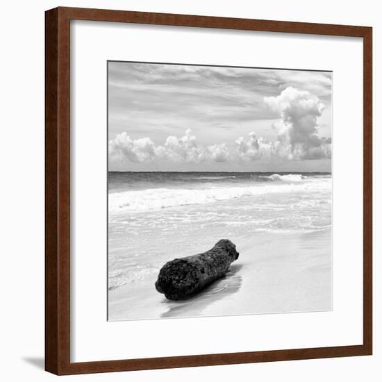 ¡Viva Mexico! Square Collection - Tree Trunk on a Caribbean Beach II-Philippe Hugonnard-Framed Photographic Print