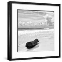 ¡Viva Mexico! Square Collection - Tree Trunk on a Caribbean Beach II-Philippe Hugonnard-Framed Photographic Print