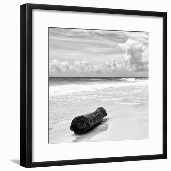 ¡Viva Mexico! Square Collection - Tree Trunk on a Caribbean Beach II-Philippe Hugonnard-Framed Photographic Print