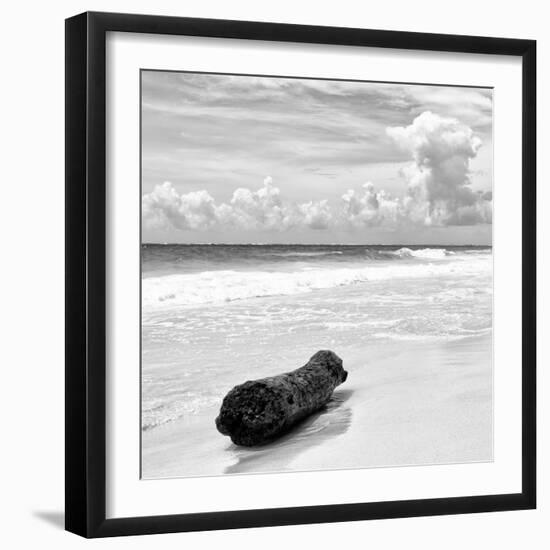 ¡Viva Mexico! Square Collection - Tree Trunk on a Caribbean Beach II-Philippe Hugonnard-Framed Photographic Print