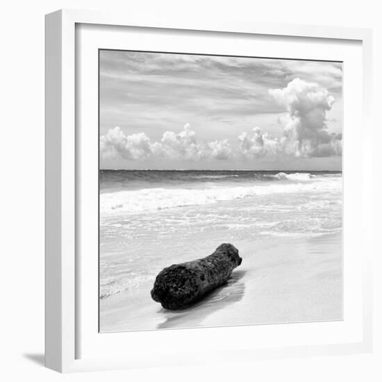 ¡Viva Mexico! Square Collection - Tree Trunk on a Caribbean Beach II-Philippe Hugonnard-Framed Photographic Print