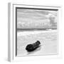 ¡Viva Mexico! Square Collection - Tree Trunk on a Caribbean Beach II-Philippe Hugonnard-Framed Photographic Print